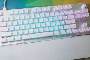 Vulcan II TKL Pro keyboard review: Hall effect switches on the cheap