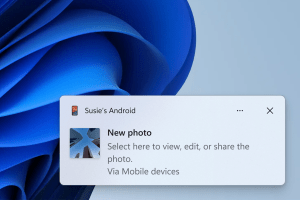 Microsoft's Photos app is getting a quick image search feature